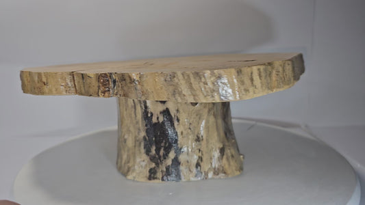 Two Tiered Live Edge Cupcake Stand (Box Elder)