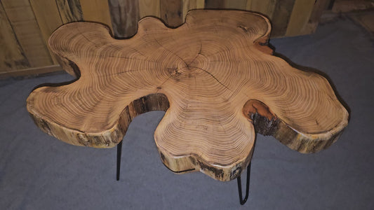 Live-Edge, End-Grain Unique Black Locust End/Side Table