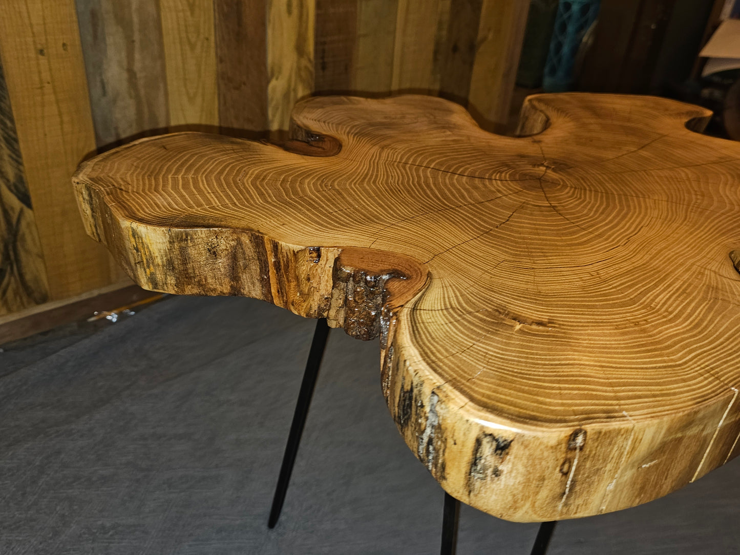 Live-Edge, End-Grain Unique Black Locust End/Side Table